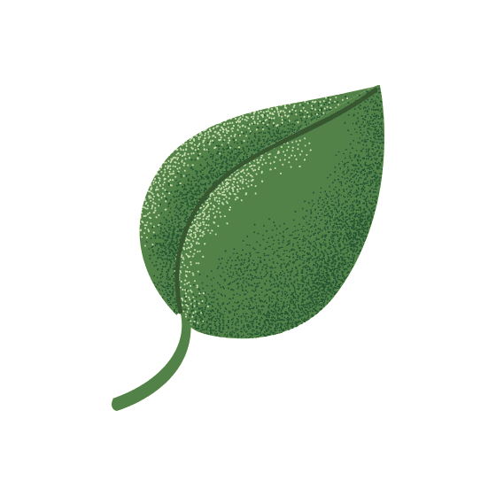 Green Leaf Graphic Hydropower Plants